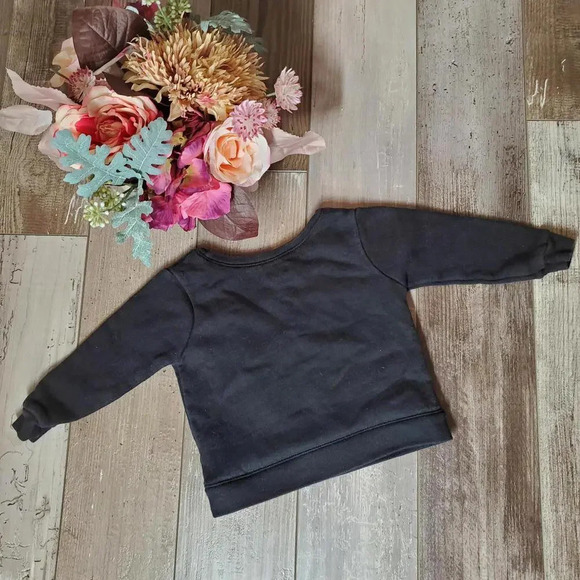 Garanimals Baby Girls "A Little Bit Sassy" Long Sleeve Fleece Top Size 6-9M NWOT - Picture 9 of 9
